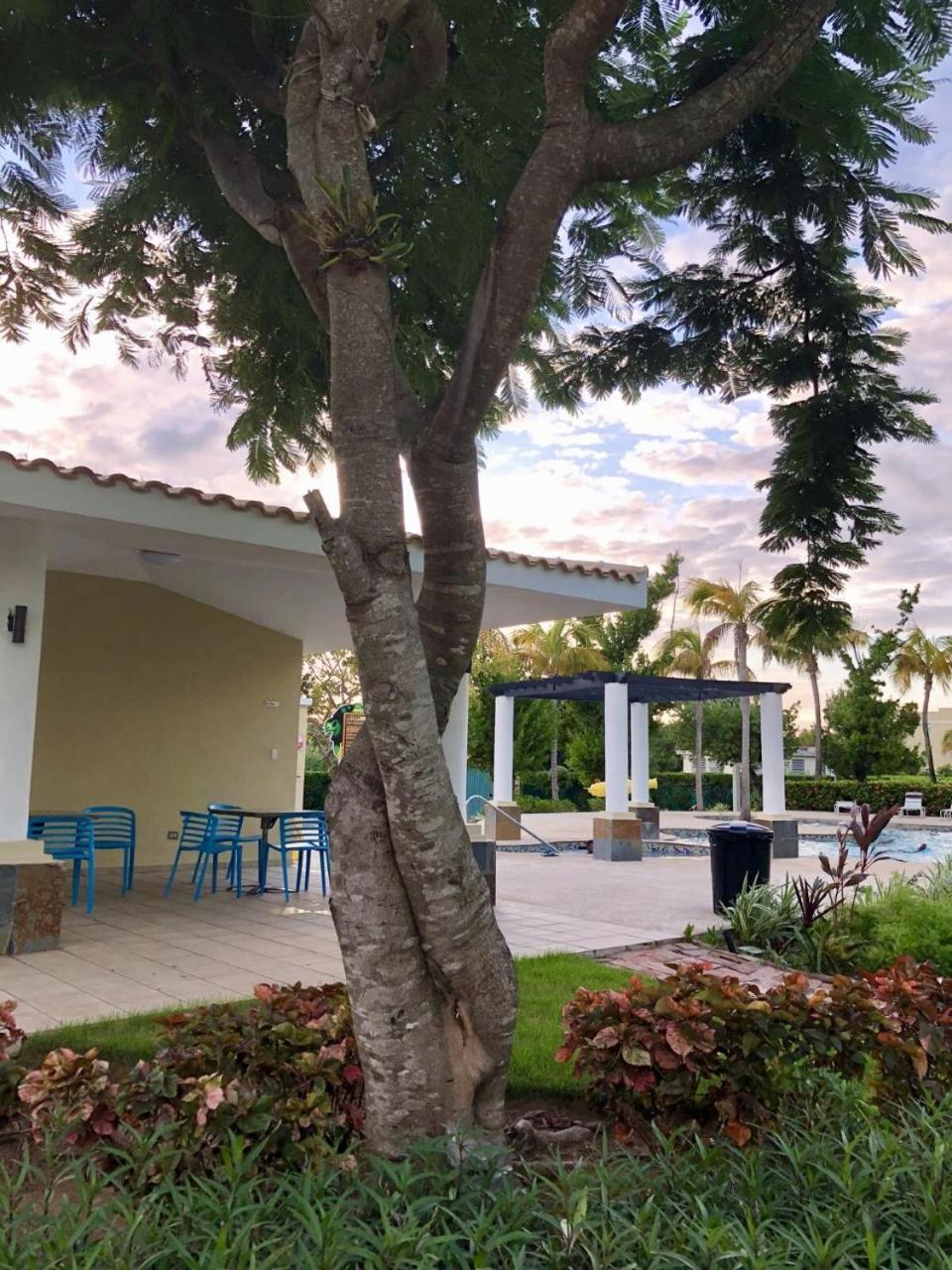 Loiza Aquatika Paraiso Tropical מראה חיצוני תמונה
